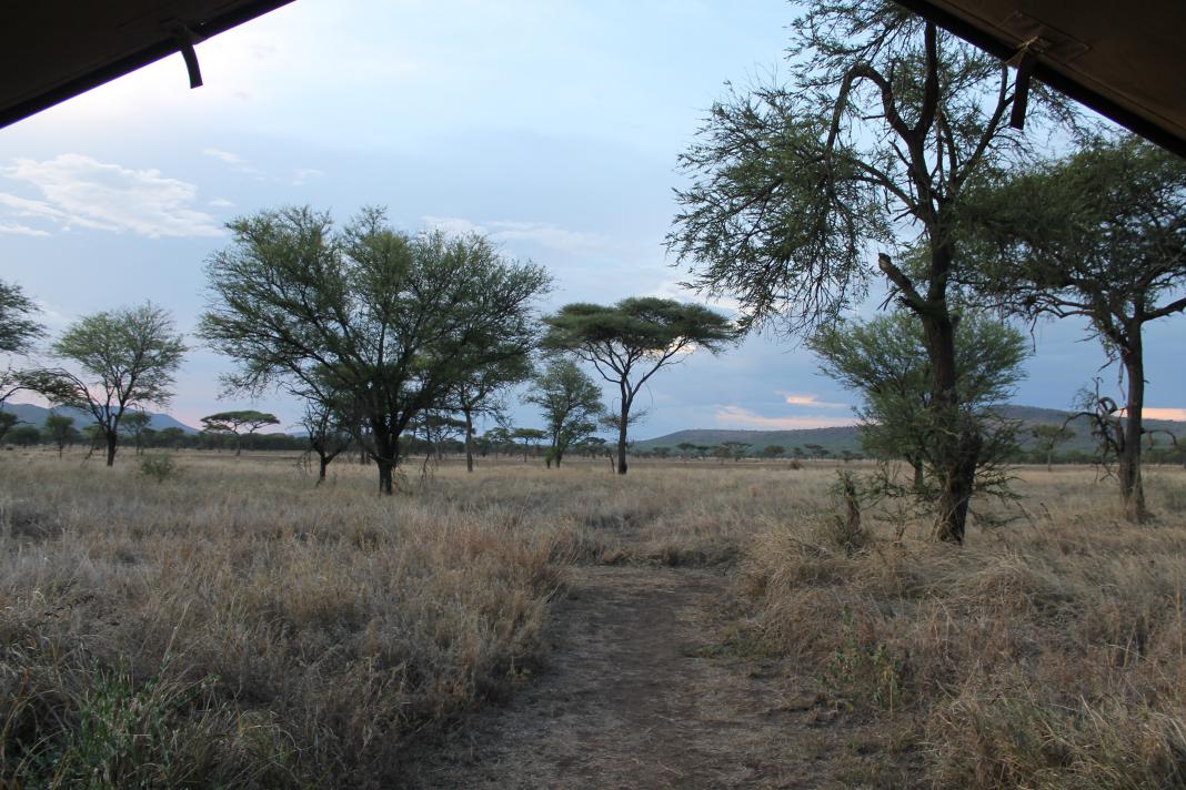 Ons uitzicht vanuit de tent