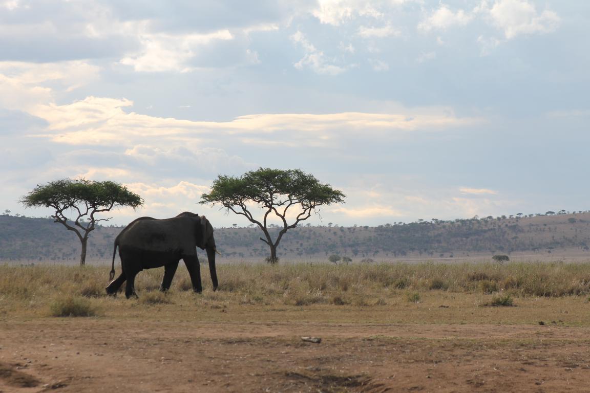 Tanzania