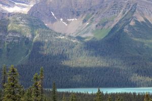 Emerald Lake