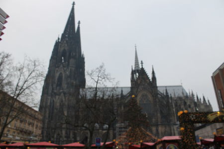 De grote kerstboom voor de Dom