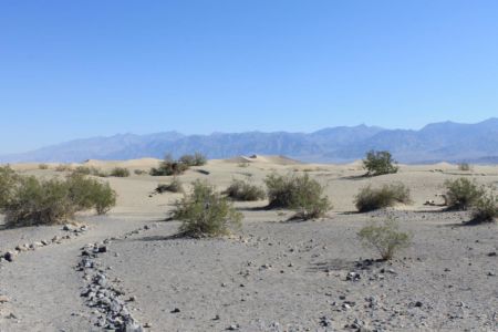 Mesquite Flat Sand Dunes