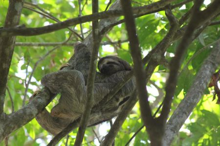 Costa Rica