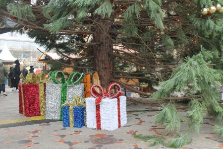 Pakjes onder de boom