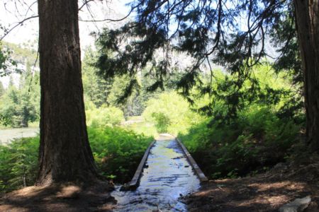 Wandeling Zumwalt Meadow